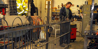 Our Workshop