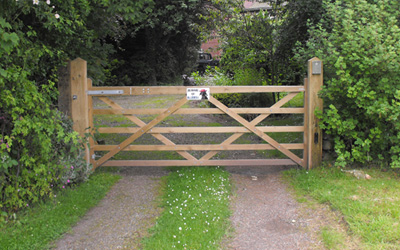 Electric Swing Gates 1